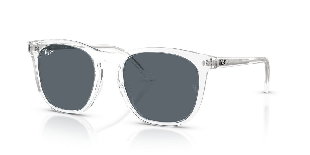 Ray-Ban | 0RB2210