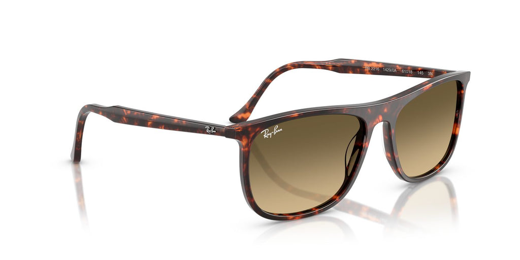 Ray-Ban | 0RB2216