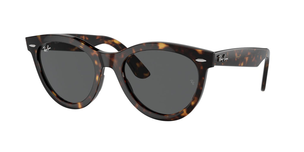 Ray-Ban | 0RB2241