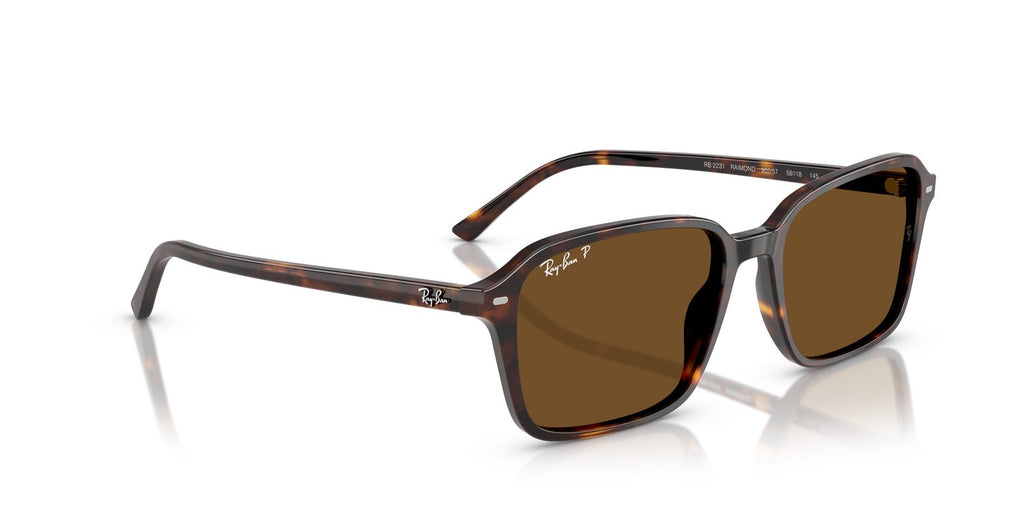 Ray-Ban | 0RB2231