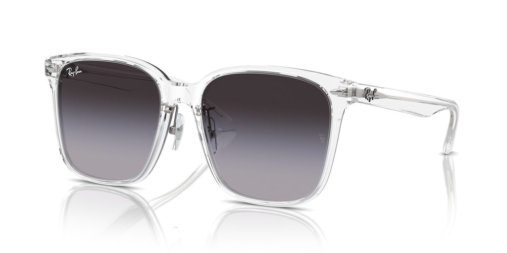 Ray-Ban | 0RB2206D
