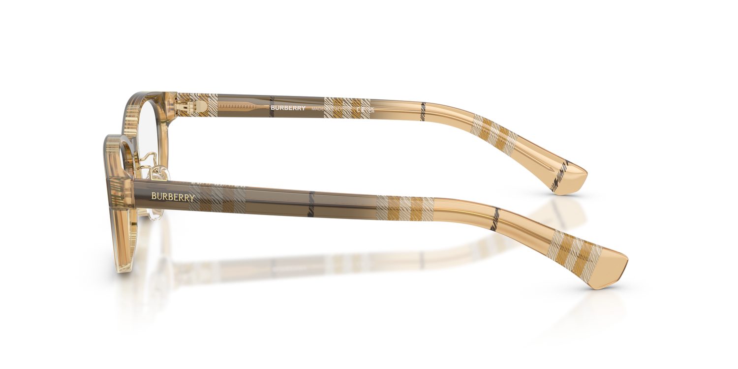 Burberry | 0BE2447D