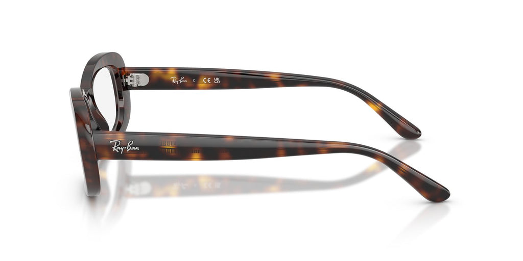 Ray-Ban | 0RX2221V (Mesa)