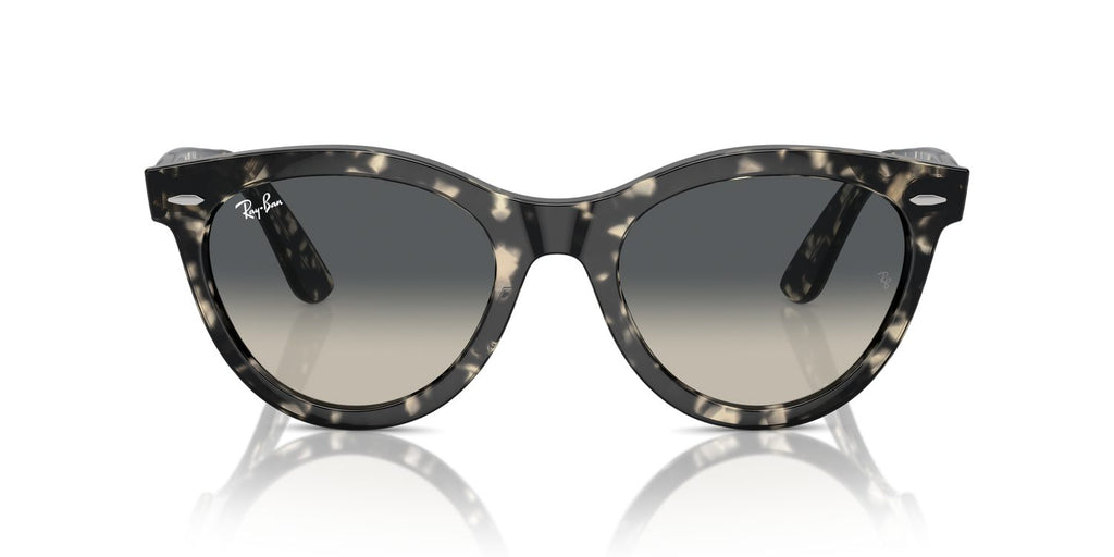 Ray-Ban | 0RB2241