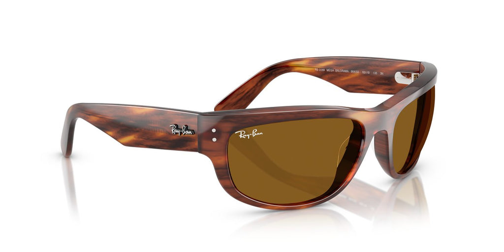Ray-Ban | 0RB2289