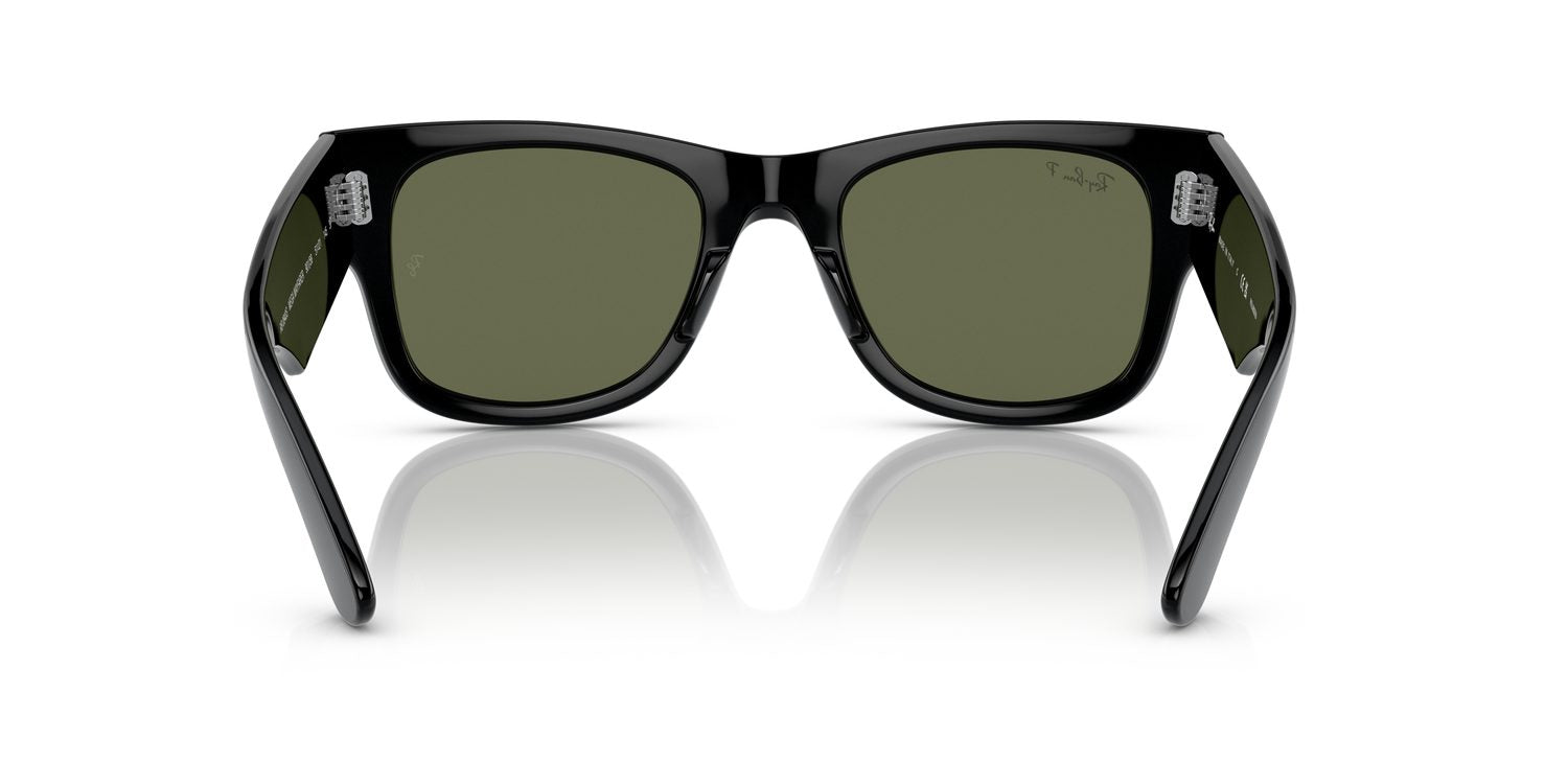 Ray-Ban | 0RB0840S