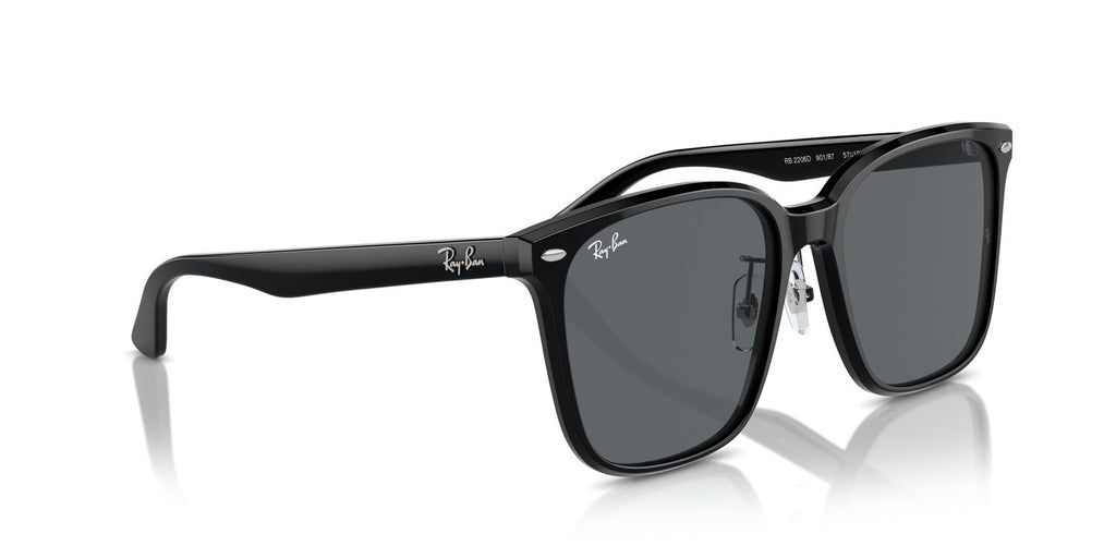 Ray-Ban | 0RB2206D