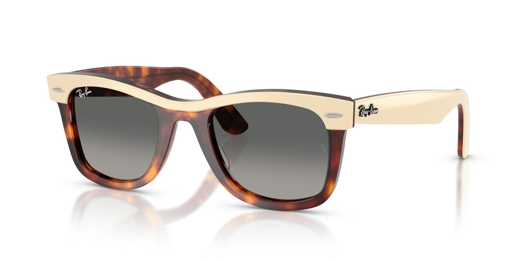 Ray-Ban | 0RB2240