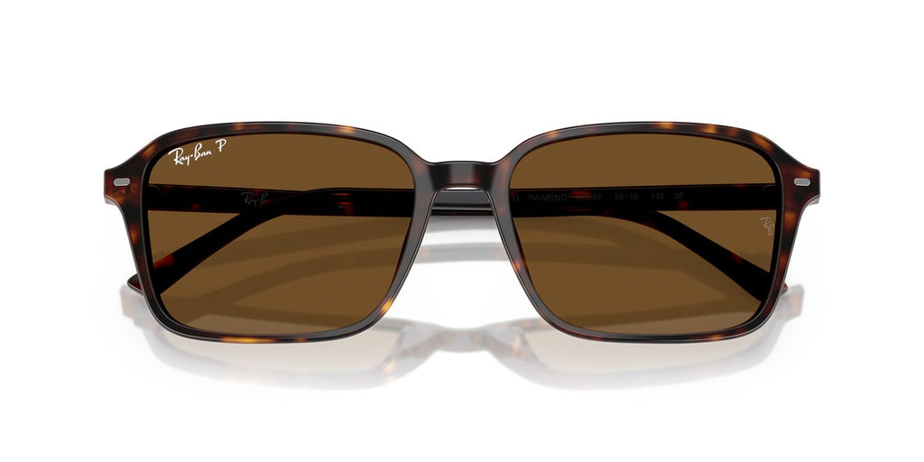 Ray-Ban | 0RB2231