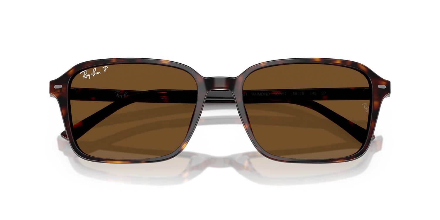 Ray-Ban | 0RB2231