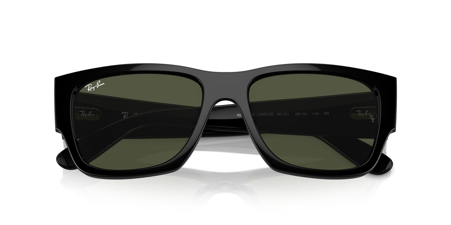 Ray-Ban | 0RB0947S