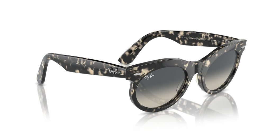 Ray-Ban | 0RB2242