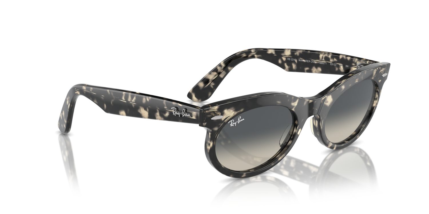 Ray-Ban | 0RB2242