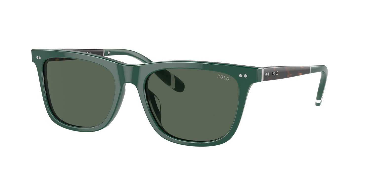 Polo Ralph Lauren | 0PH4205U