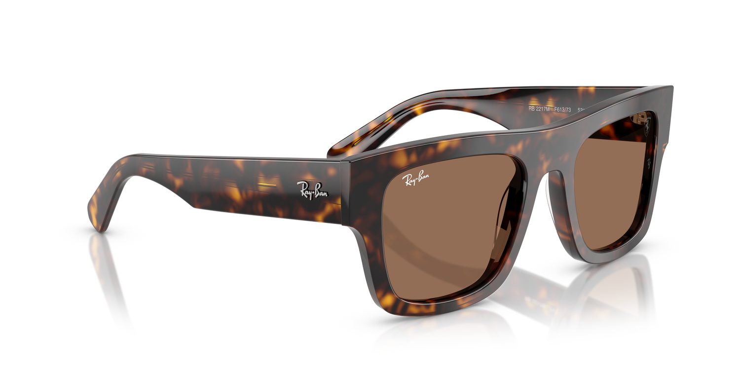 Ray-Ban | 0RB2217M