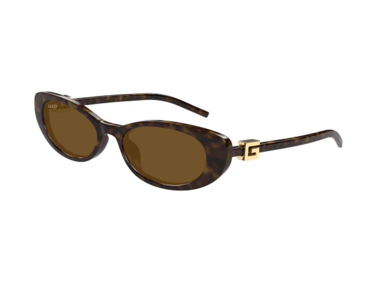 Gucci GG1680S-004 sunglasses - Havana / Brown