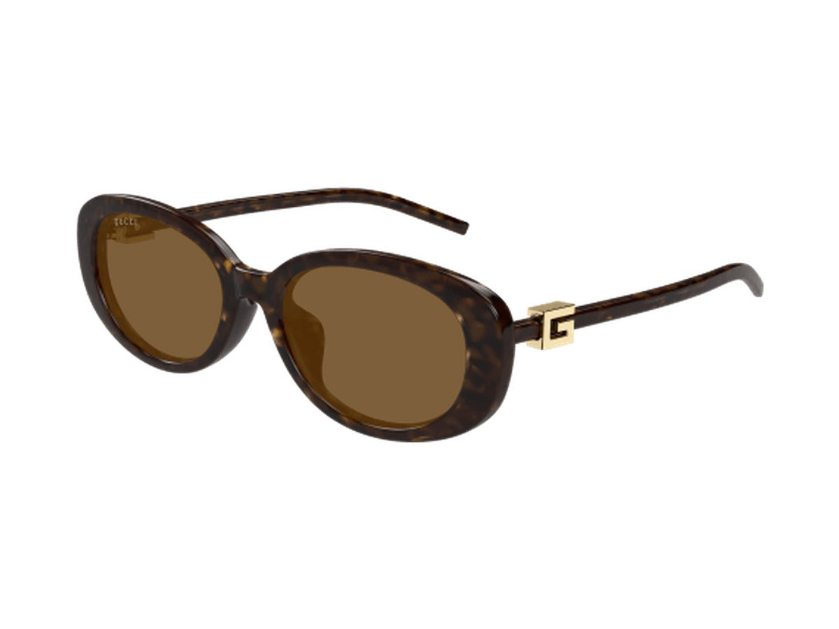 Gucci GG1684SA-004 sunglasses - Havana / Brown