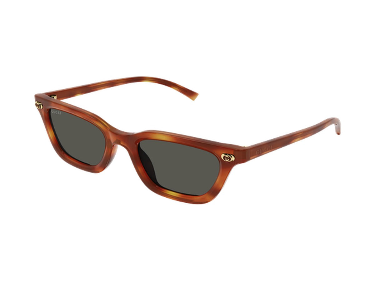 Gucci GG1944S-002 sunglasses - Havana / Grey