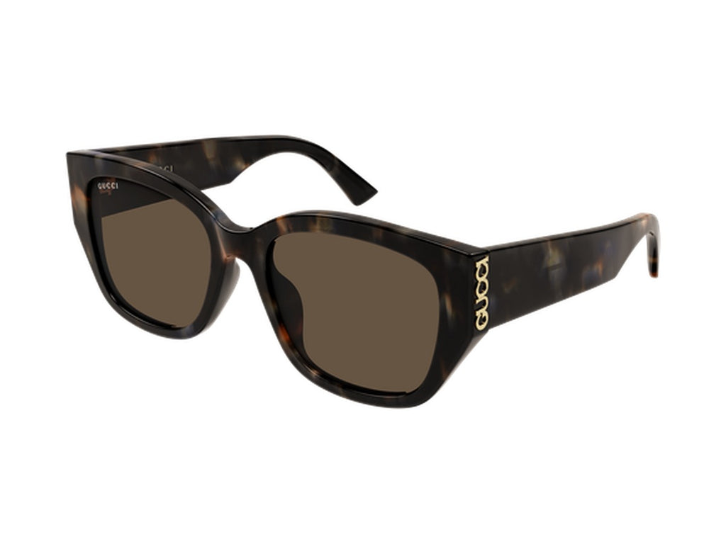 Gucci GG2043SA-003 sunglasses - Havana / Brown 2