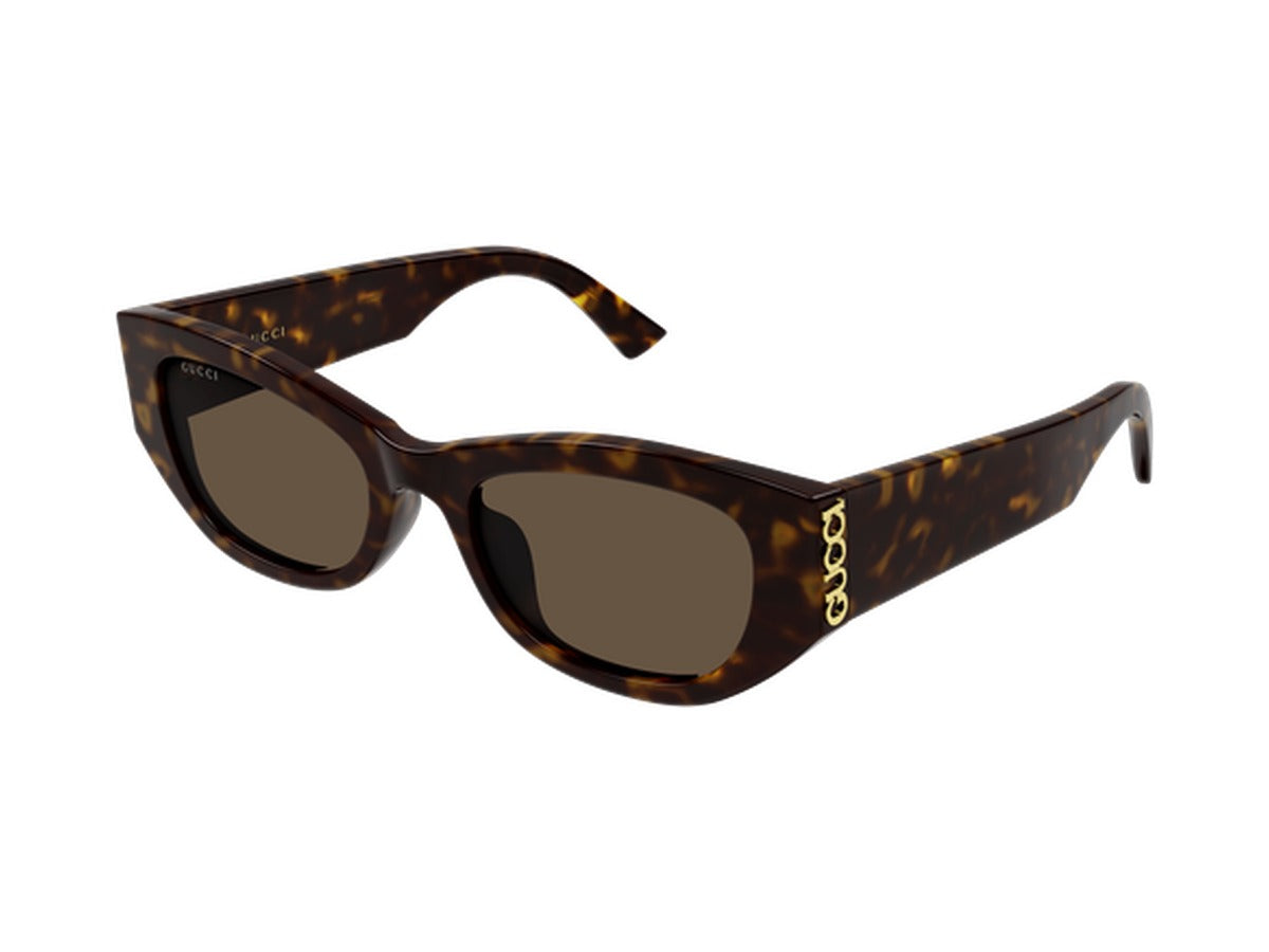 Gucci GG2044SA-002 sunglasses - Havana / Brown