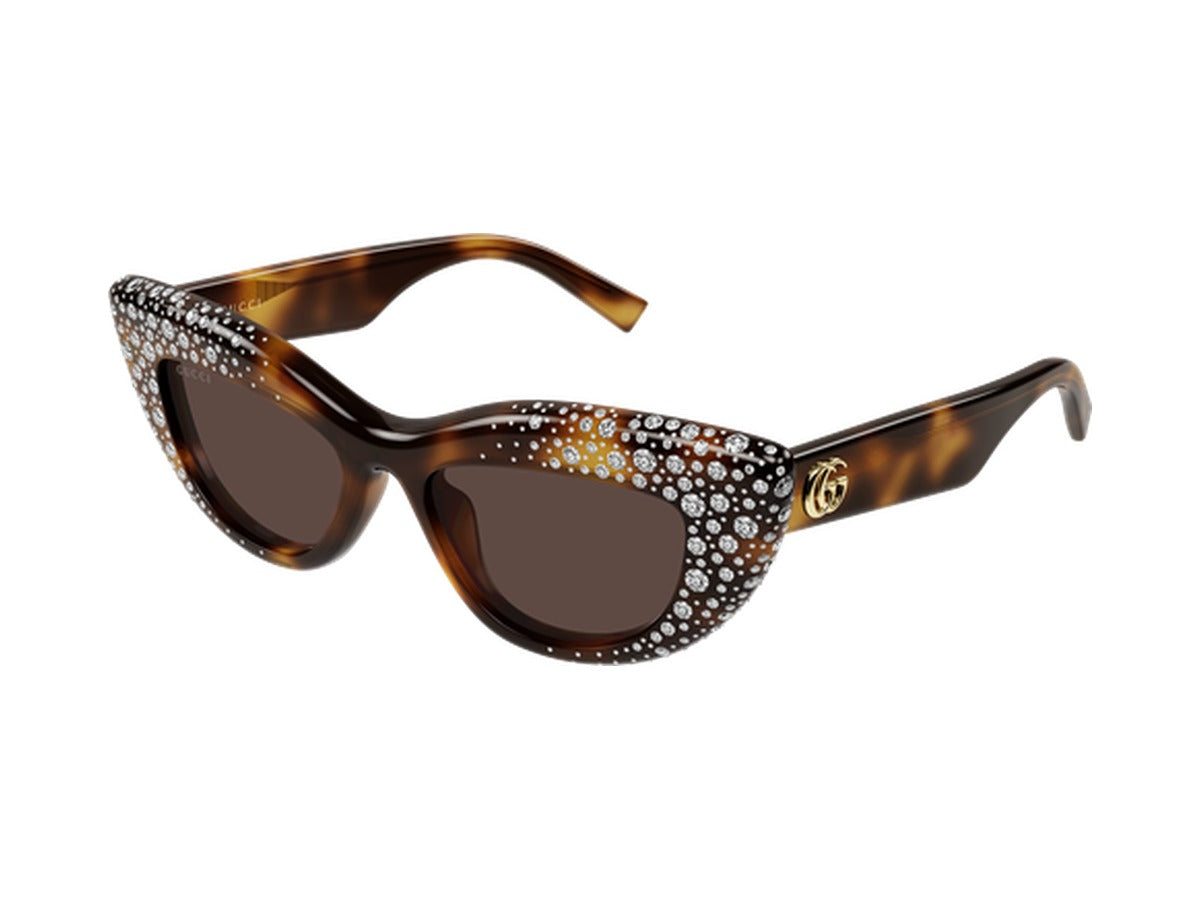 Gucci GG2031S-006 sunglasses - Havana / Brown