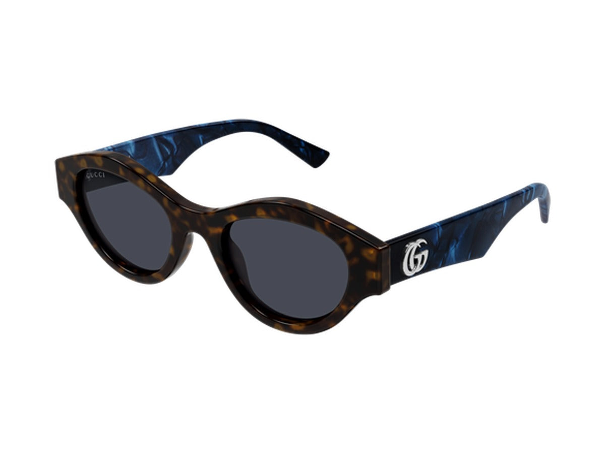 Gucci GG2207S-005 sunglasses - Havana & Blue / Blue