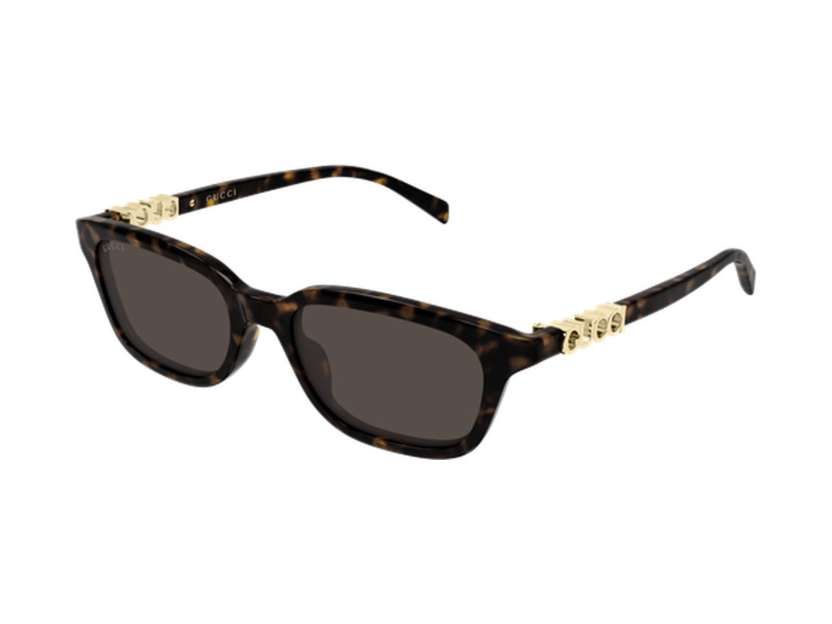 Gucci GG2208S-002 sunglasses - Havana / Brown