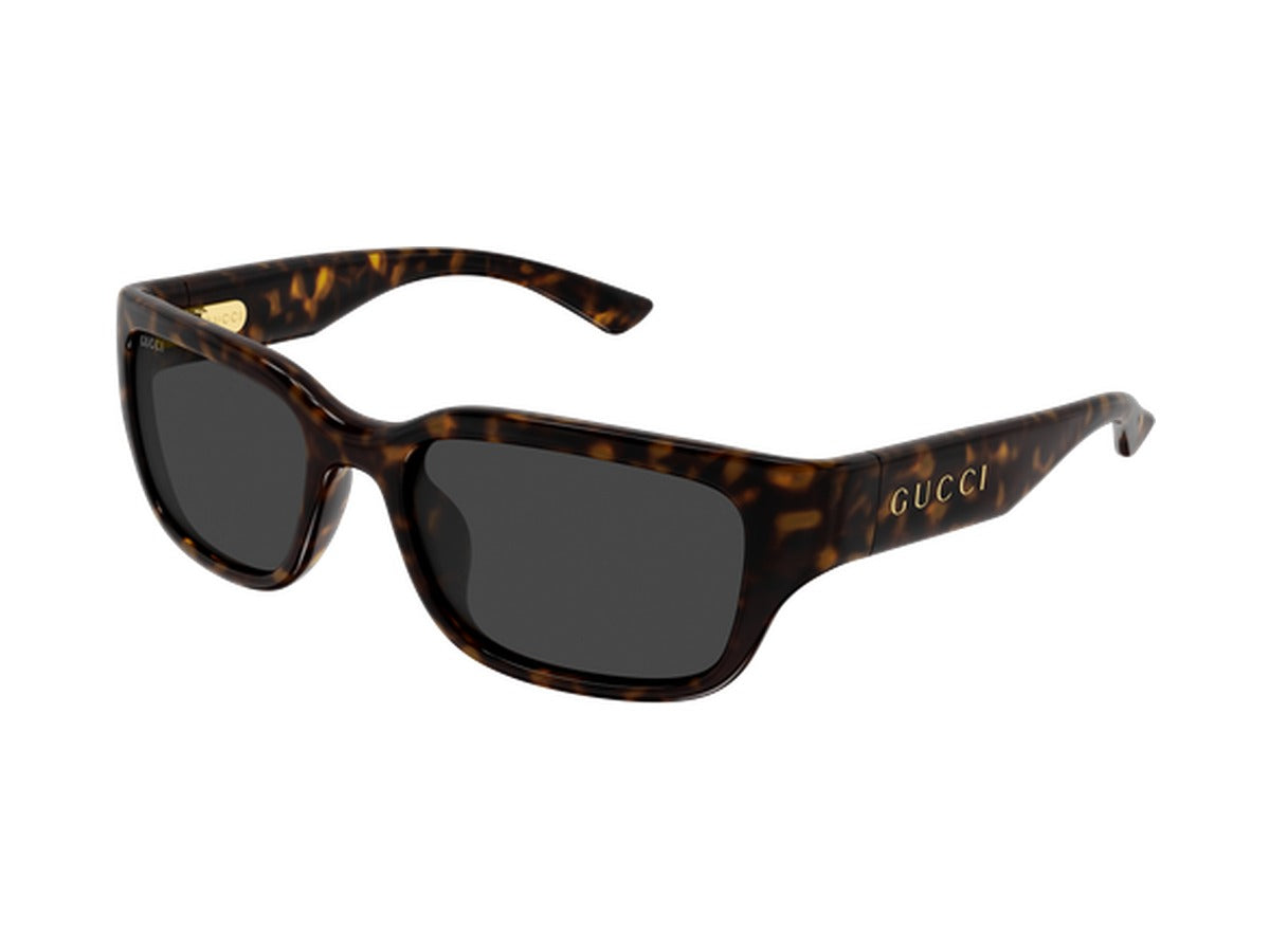 Gucci GG2241SK-002 sunglasses - Havana / Grey