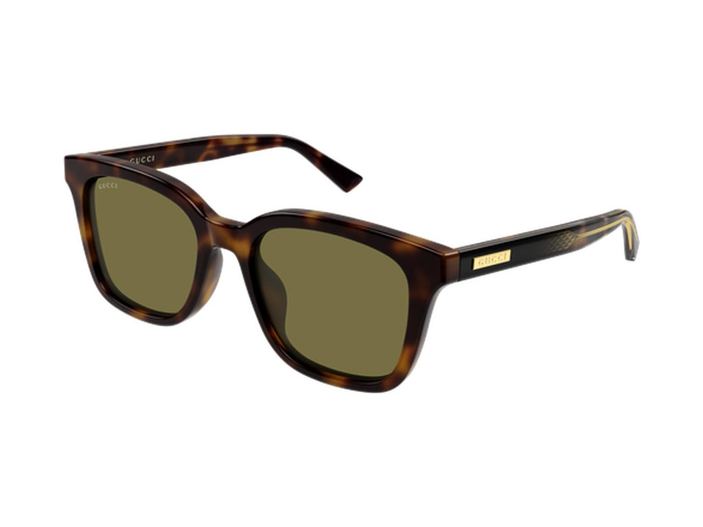 Gucci GG2251SA-002 sunglasses - Havana / Green