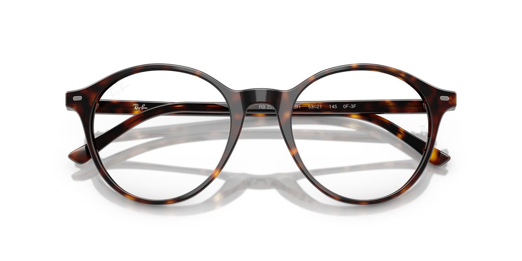 Ray-Ban | 0RB2230