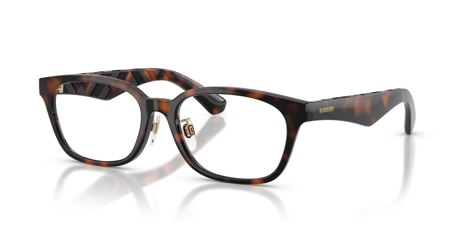 Burberry | 0BE2436D