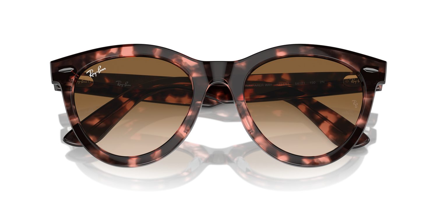 Ray-Ban | 0RB2241