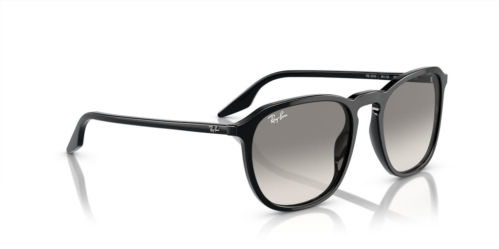 Ray-Ban | 0RB2203