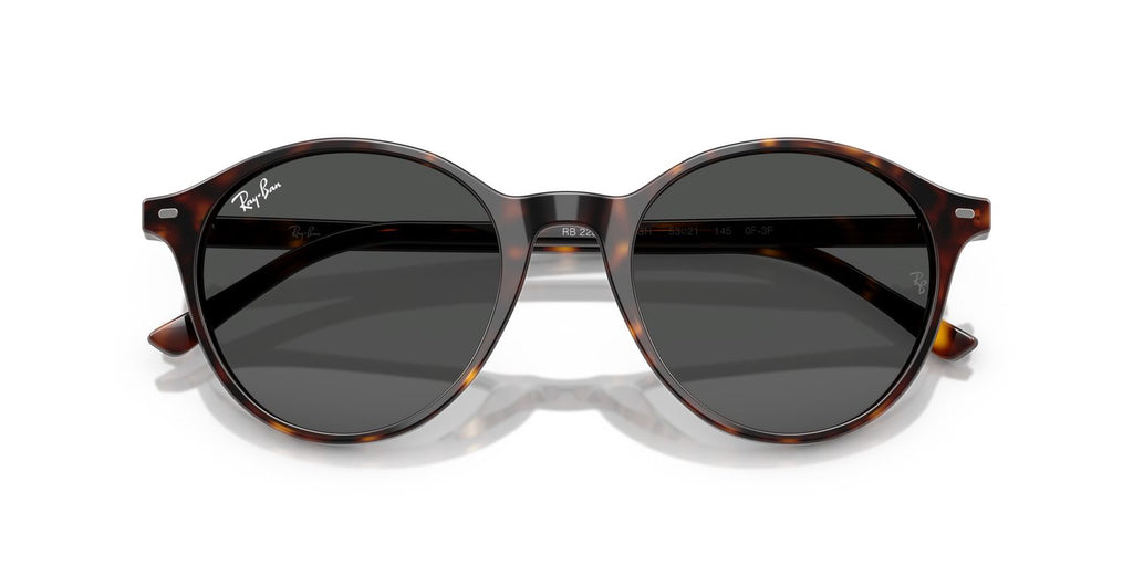 Ray-Ban | 0RB2230