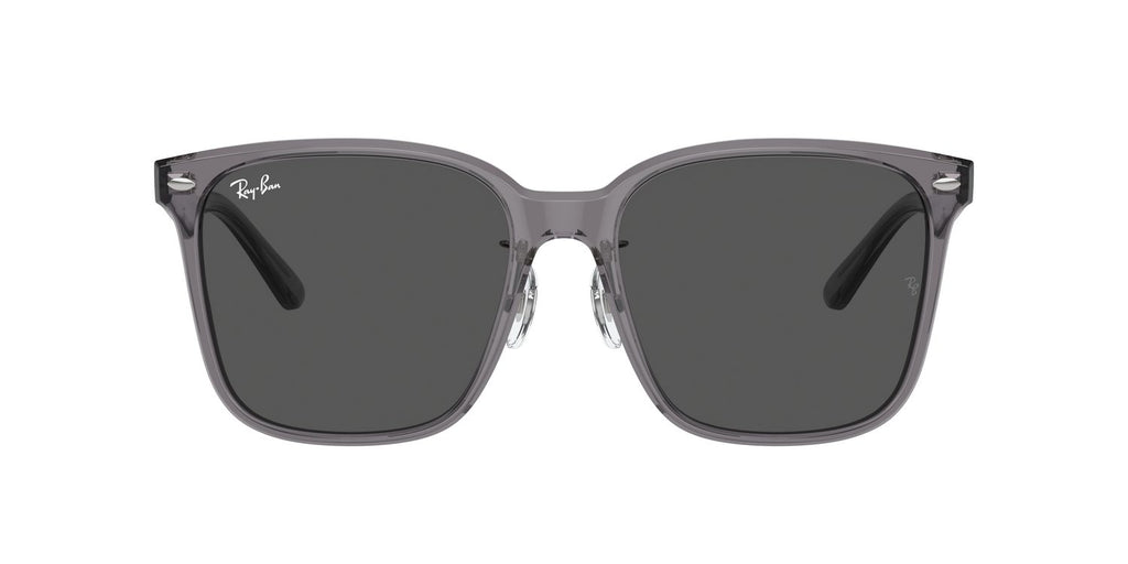 Ray-Ban | 0RB2206D