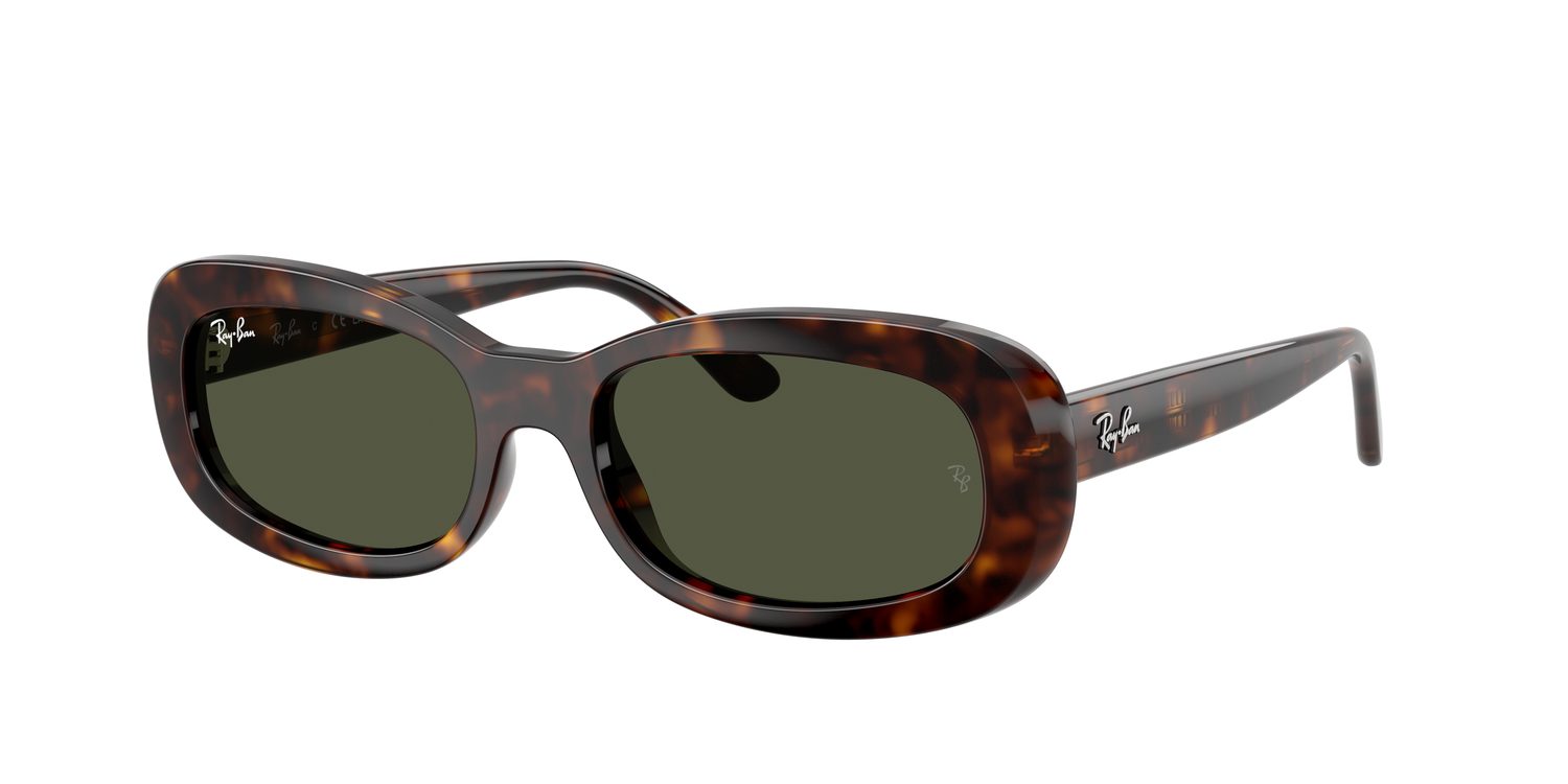 Ray-Ban | 0RB2221