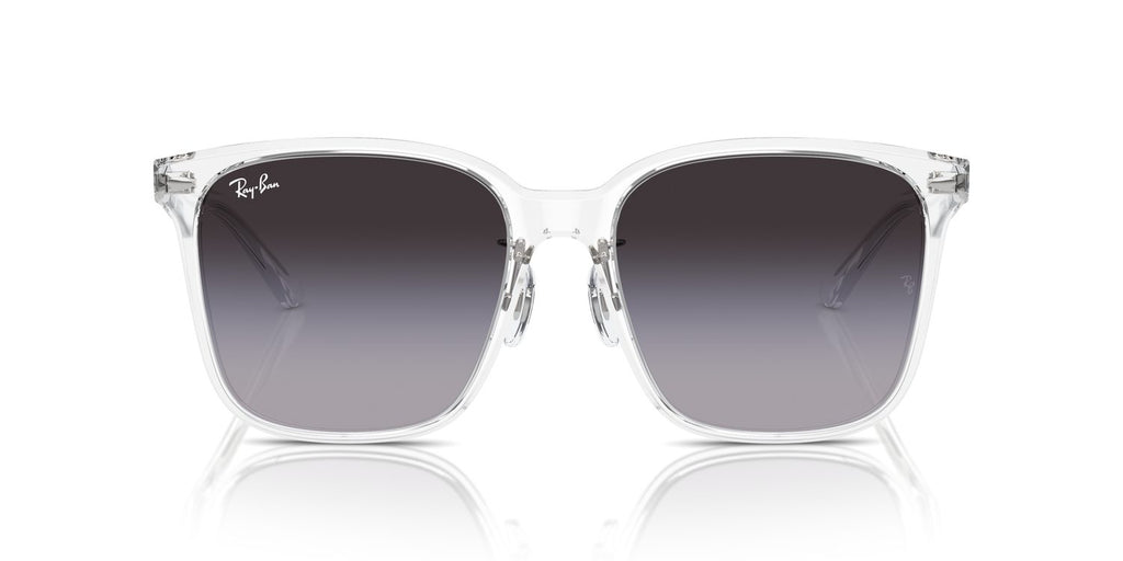 Ray-Ban | 0RB2206D