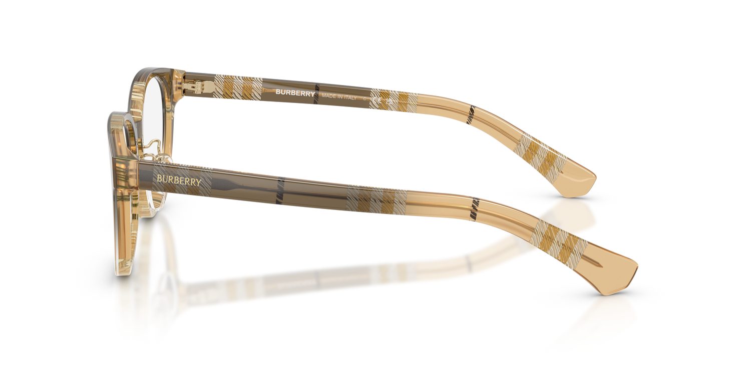 Burberry | 0BE2448D