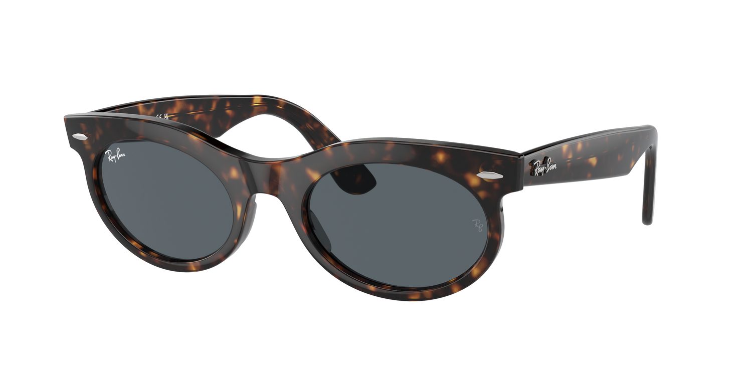 Ray-Ban | 0RB2242