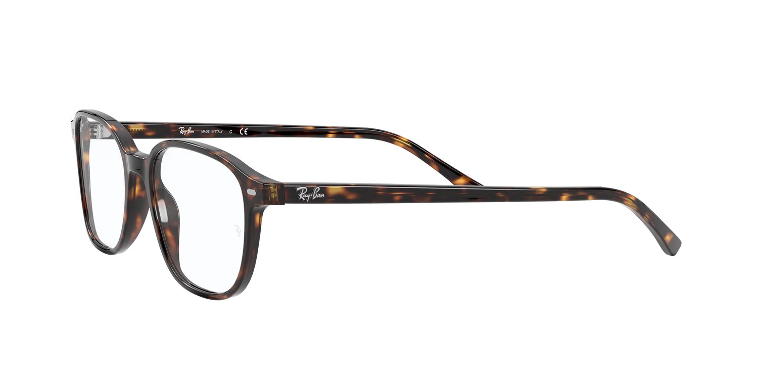 Ray-Ban | 0RX5393 (Leonard)