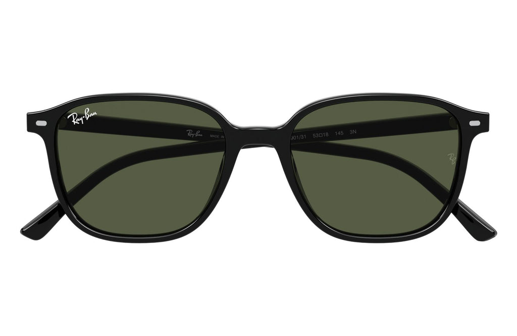 Ray-Ban | 0RB2193
