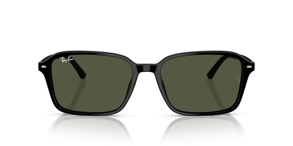 Ray-Ban | 0RB2231