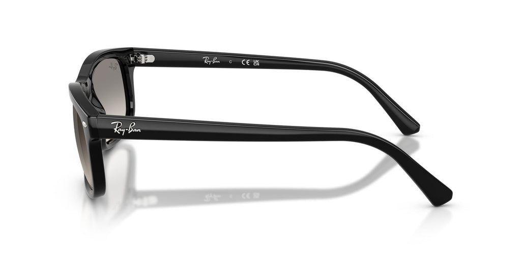 Ray-Ban | 0RB2224