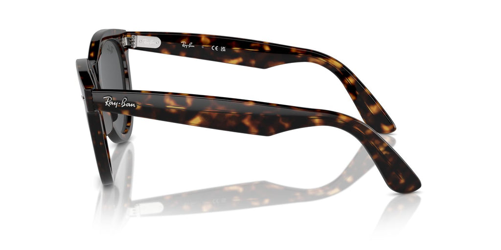Ray-Ban | 0RB2241