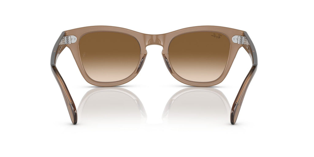 Ray-Ban | 0RB0707S