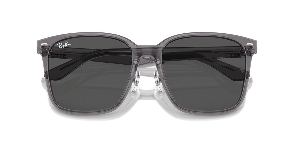 Ray-Ban | 0RB2206D