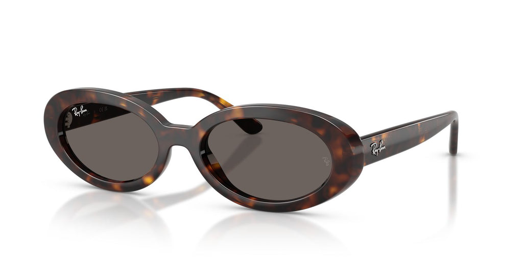 Ray-Ban | 0RB2223