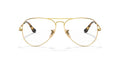 Ray-Ban | 0RX6489 (Aviator)