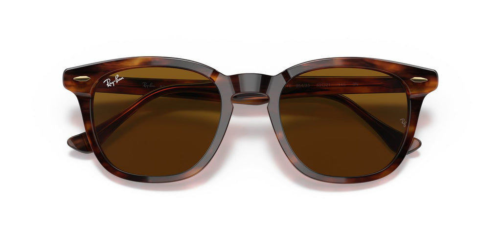 Ray-Ban | 0RB2298