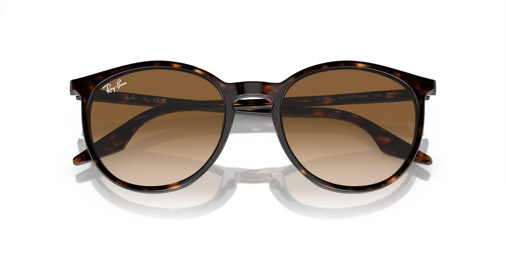 Ray-Ban | 0RB2204